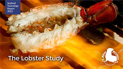 The Lobster Study report