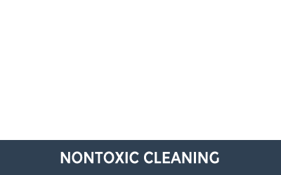 Nontoxic Cleaning Products